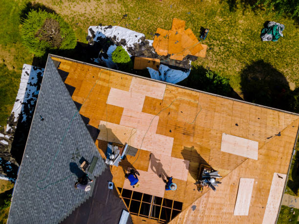 Best Roof Gutter Cleaning  in Josephine, TX